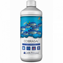 Colombo Marine, Cobrasal -...