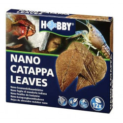 Nano Catappa + feuille de...