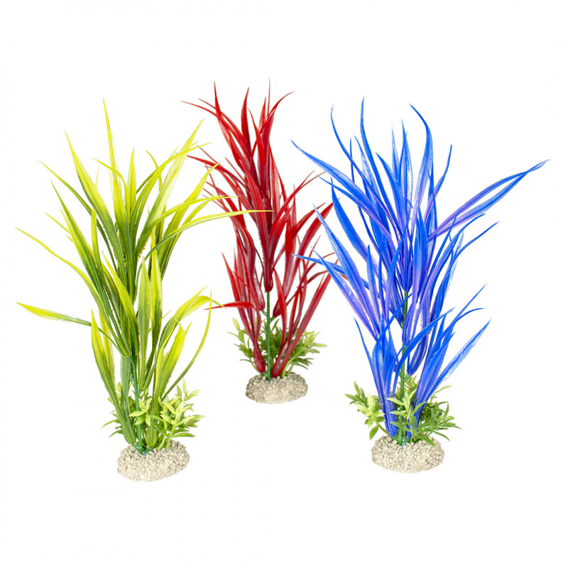 Plante aquatique Hornwort luxuriante PLANTES D'AQUARIUM VIVANTES Plantes  aquatiques d'eau douce pour les décorations d'aquarium Achetez2, obtenez1  gratuitement Livraison gratuite -  France