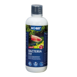 Bacteria FIT - 500ml
