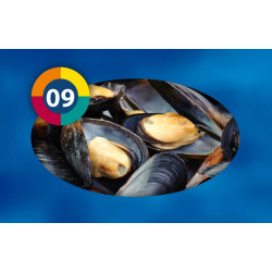 Moules (Blister) - 100g