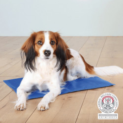 Tapis / Matelas...