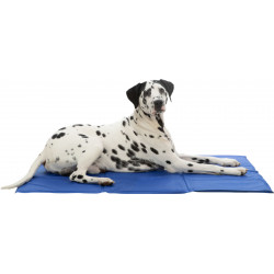 Tapis / Matelas...