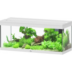 Aquarium PRESTIGE 120 - 120...