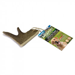 Bois de Daim - 4 tailles...