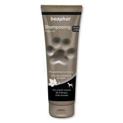 Shampooing premium...