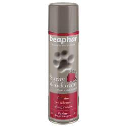 Spray déodorant, parfum...