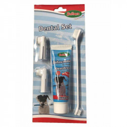 Pack dentifrice + brosse à...