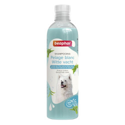 Shampooing Essentiel pour...