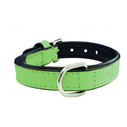 Collier en cuir, vert pour...