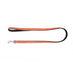 Laisse, CORAIL pour chiens...