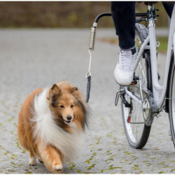 Biker-Set pour chien