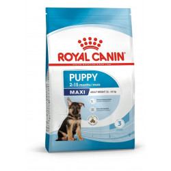 Royal canin maxi Junior - 4Kg