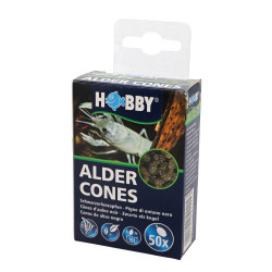ALDER CONES - 50 pièces