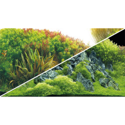 Poster PLANTED RIVER/GREEN...