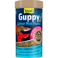 TETRA Guppy Colour Mini...