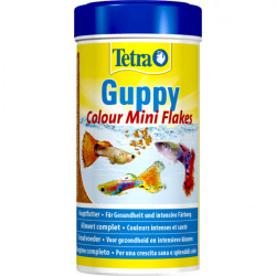 TETRA Guppy Colour mini...