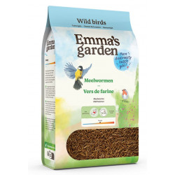 Vers de Farine - 300g