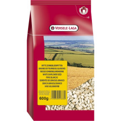 Tournesols blancs - 500g