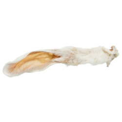 Oreille de lapin, pour chiens