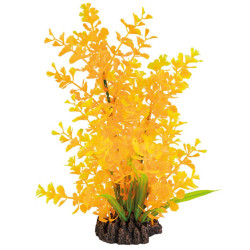 SUPERFISH, Plante Ludwigia...
