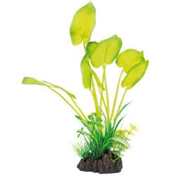 SUPERFISH, Plante...