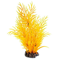SUPERFISH, Plante orange -...