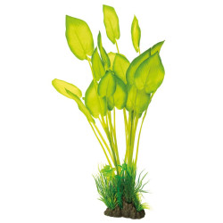SUPERFISH, Plante...
