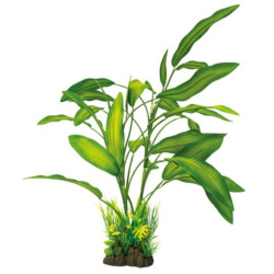SUPERFISH, Plante...