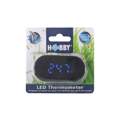 HOBBY, Thermomètre LED pour...