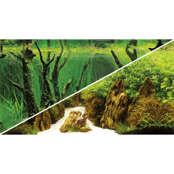 Poster Canyon / Woodland -...