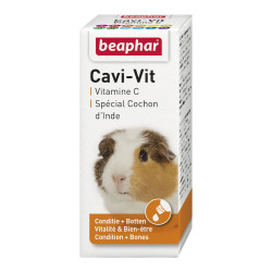 Vitamine C, cochon d’Inde -...