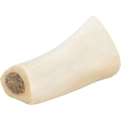 Os de tibia pour chien