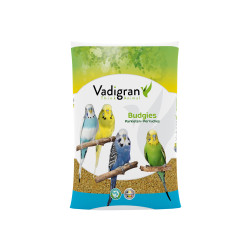 Vadigran, Perruches Basic -...