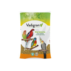 VADIGRAN, Grandes perruches...