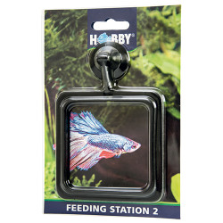 Feeding Station 2 - 10 x 10 cm