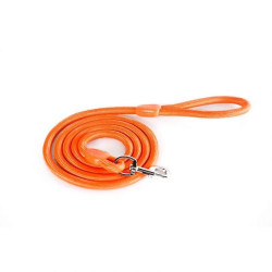 BUBIMEX, Laisse Orange -...