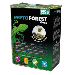 REPTO Mousse de Fôret - 100g