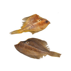 Plie Small - 25g