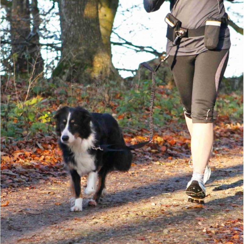 Ceinture ventrale avec laisse pour chiens de moyenne et grande taille